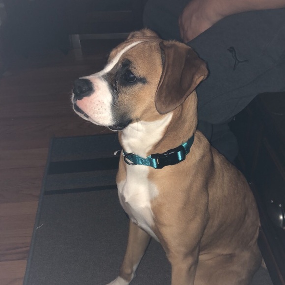 Meet your Posher, Emili - Picture 1 of 1